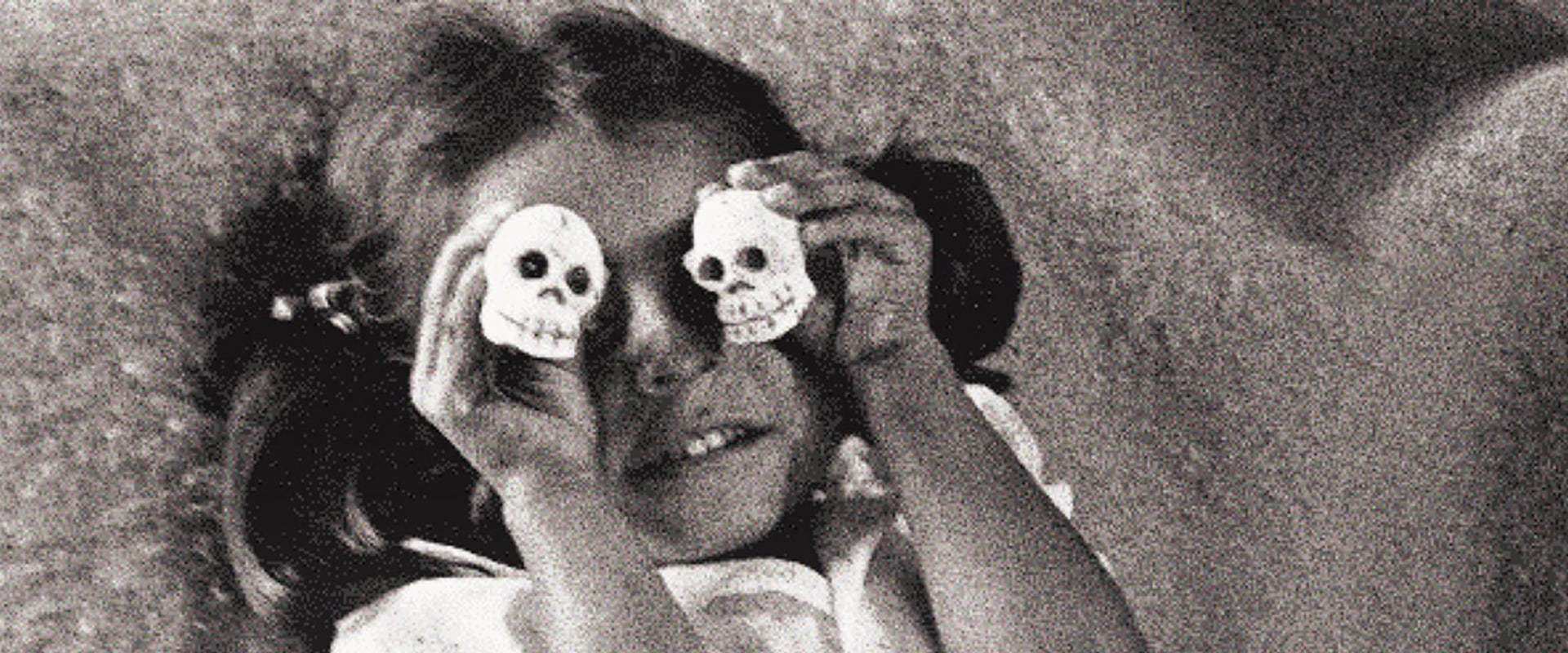 Exploring Bookstores in Middlesex County, MA: Author Events and Signings