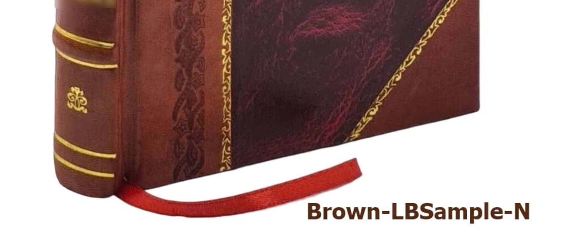 Exploring Rare and Collectible Bookstores in Middlesex County, MA