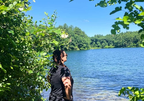 Exploring the Best Bookstores in Middlesex County, MA: A Comprehensive Guide